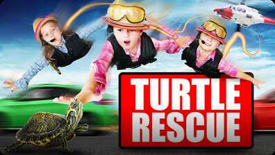 Turtle Rescue | Turtle Rescued from the Highway of Doom! book