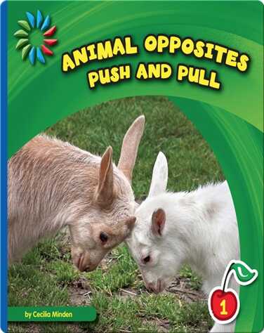 Push and Pull book