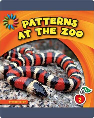 Patterns At The Zoo book