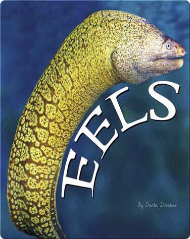 Eels book