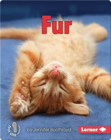 Fur book