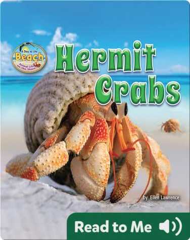 Hermit Crabs book