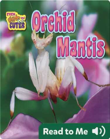 Orchid Mantis book