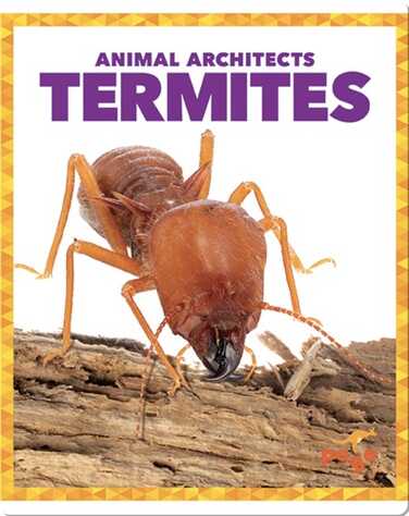 Termites book