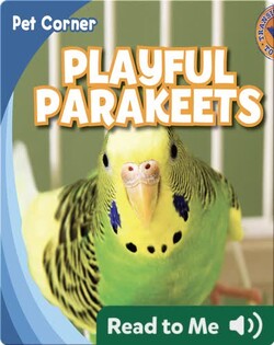 Playful Parakeets