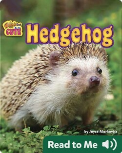 Hedgehog