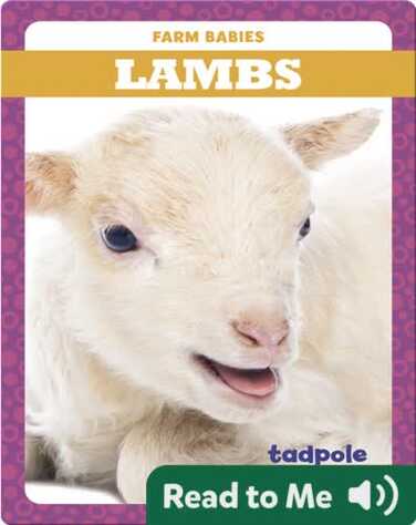 Lambs book