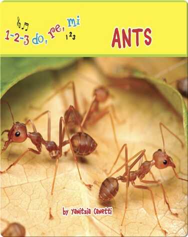 Ants book