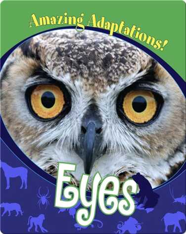 Eyes book