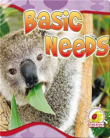 Basic Needs book