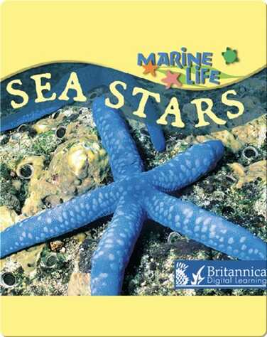 Sea Stars book