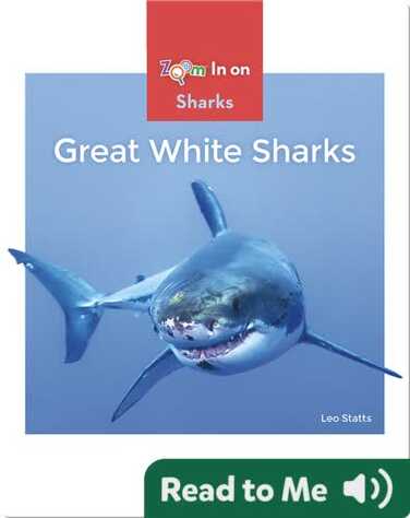 Great White Sharks book