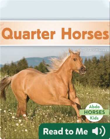 Quarter Horses book