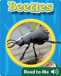 World of Insects: Beetles