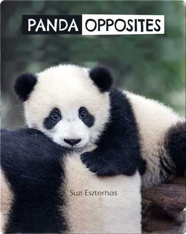 Panda Opposites book
