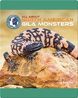 All About North American Gila Monsters