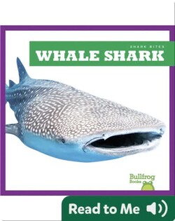 Shark Bites: Whale Shark