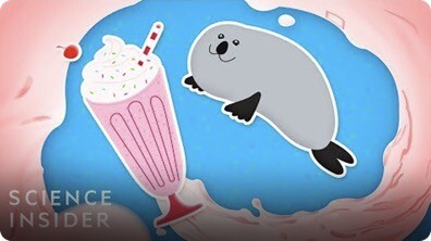 The Most Extreme Milk In The Animal Kingdom