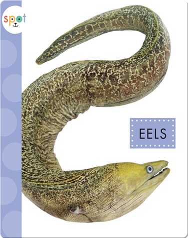 Ocean Animals: Eels book