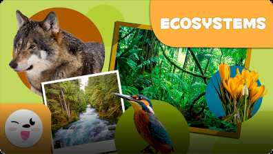 Ecosystems book