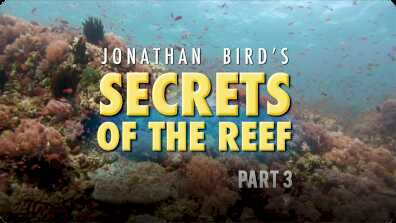 Jonathan Bird's Blue World: Secrets of the Reef (2008) Part 3 book