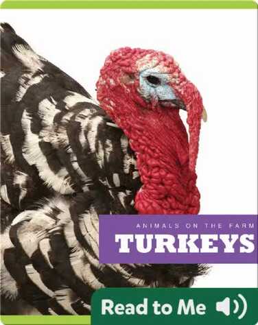 Turkeys book