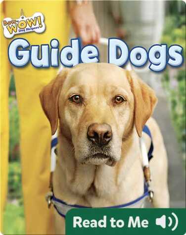 Guide Dogs book
