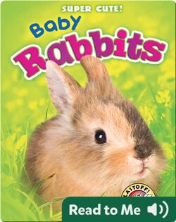 Super Cute! Baby Rabbits