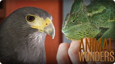 Meet and Greet: Hara and Twirly