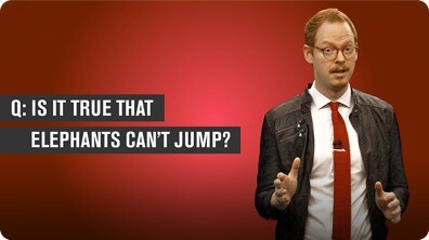 Can Elephants Jump?