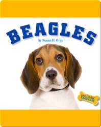 Beagles book