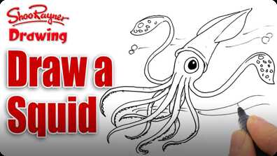 How to Draw a Squid book