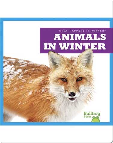 What Happens In Winter? Animals In Winter book