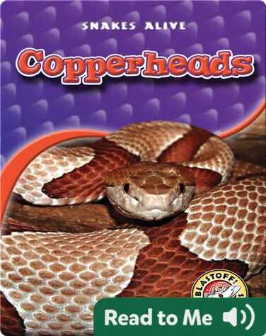 Copperheads book