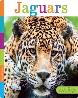 Jaguars