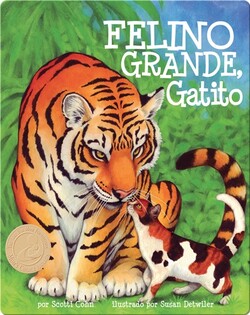 Felino grande, gatito