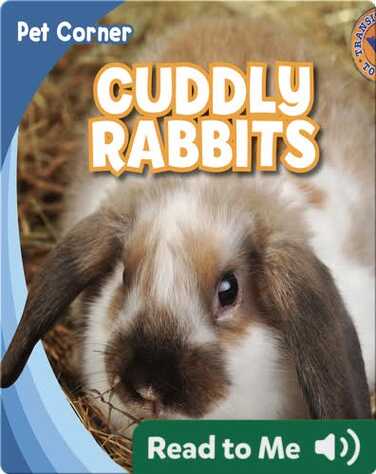Cuddly Rabbits book