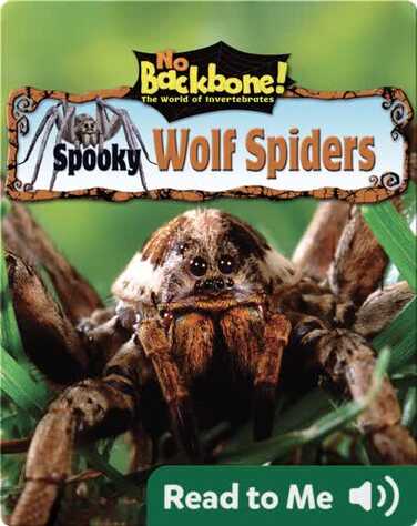 Spooky Wolf Spiders book