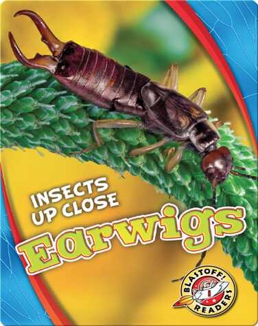 Earwigs book