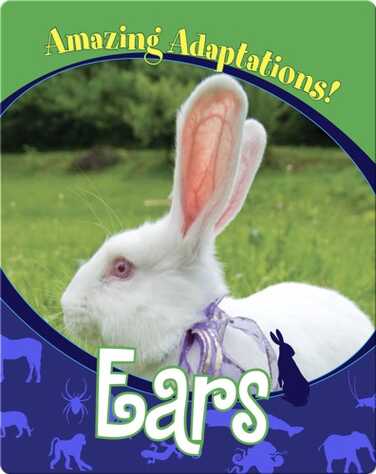 Ears book