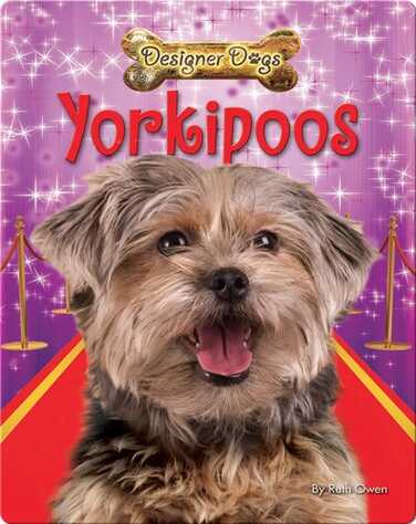 Yorkipoos book