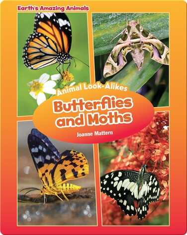 Butterflies and Moths book
