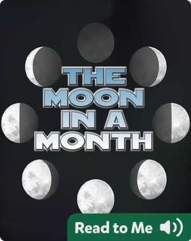 The Moon In A Month book