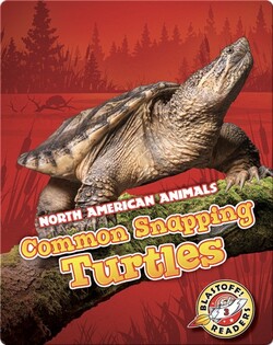 Common Snapping Turtles