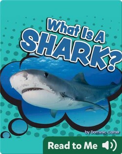 What Is a Shark?