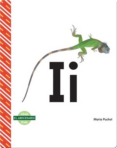 El abecedario: Ii book