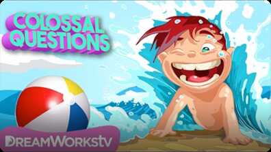 Why Do We Get Summer Vacation? | COLOSSAL QUESTIONS book