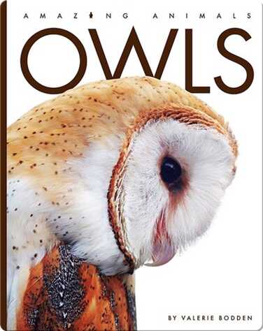 Amazing Animals: Owls book