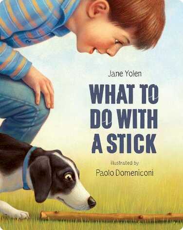 What to Do with a Stick book