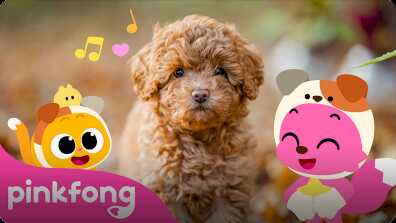 The Cutest Baby Dog! book